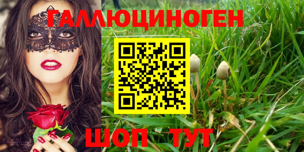 Псилоцибиновые грибы мухоморы  Вход с VPN  Солнечногорск  Галлюциногенные грибы Psilocybine cubensis 